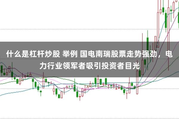什么是杠杆炒股 举例 国电南瑞股票走势强劲，电力行业领军者吸引投资者目光