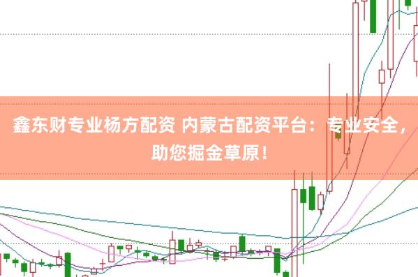 鑫东财专业杨方配资 内蒙古配资平台：专业安全，助您掘金草原！