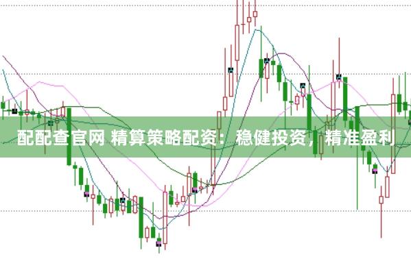 配配查官网 精算策略配资：稳健投资，精准盈利