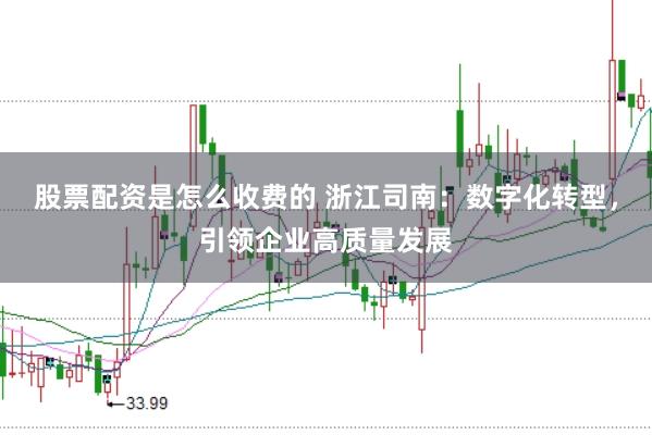 股票配资是怎么收费的 浙江司南：数字化转型，引领企业高质量发展