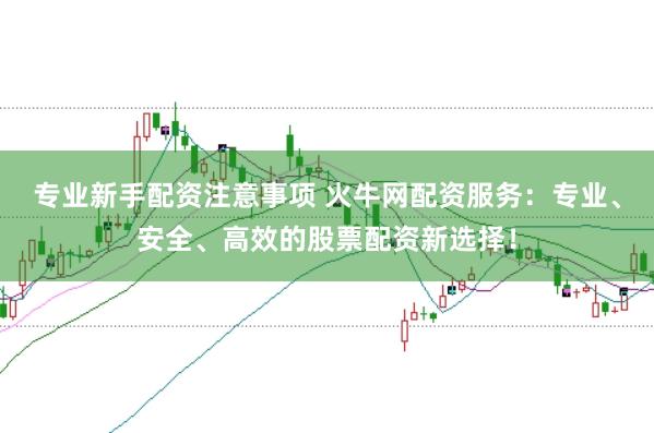 专业新手配资注意事项 火牛网配资服务：专业、安全、高效的股票配资新选择！