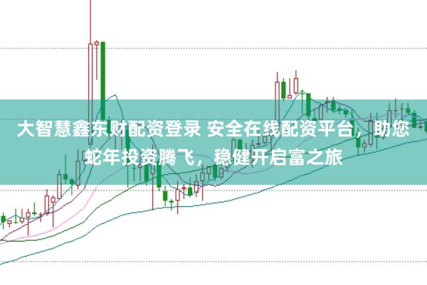 大智慧鑫东财配资登录 安全在线配资平台，助您蛇年投资腾飞，稳健开启富之旅