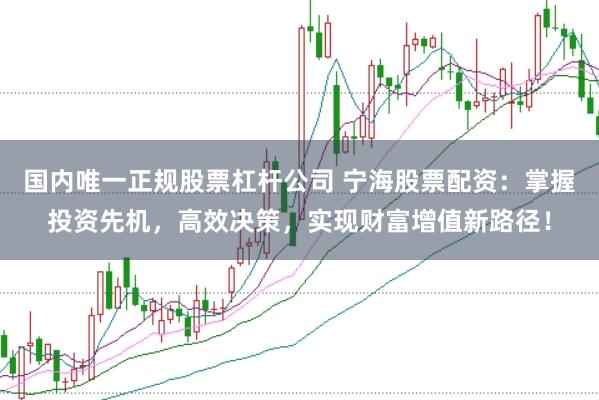 国内唯一正规股票杠杆公司 宁海股票配资：掌握投资先机，高效决策，实现财富增值新路径！