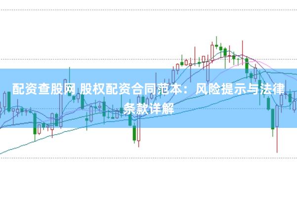 配资查股网 股权配资合同范本：风险提示与法律条款详解