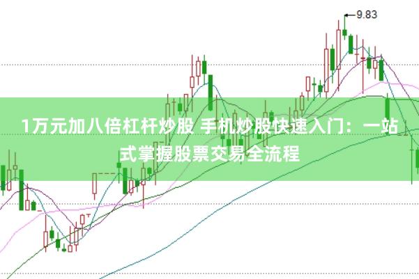 1万元加八倍杠杆炒股 手机炒股快速入门：一站式掌握股票交易全流程