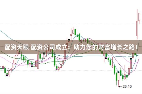 配资天眼 配资公司成立：助力您的财富增长之路！