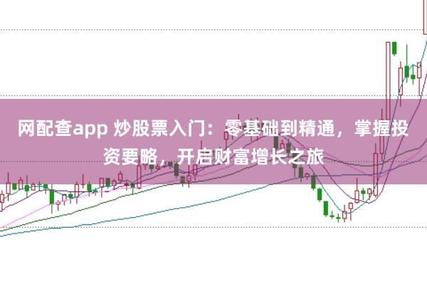网配查app 炒股票入门：零基础到精通，掌握投资要略，开启财富增长之旅