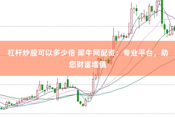 杠杆炒股可以多少倍 犀牛网配资：专业平台，助您财富增值
