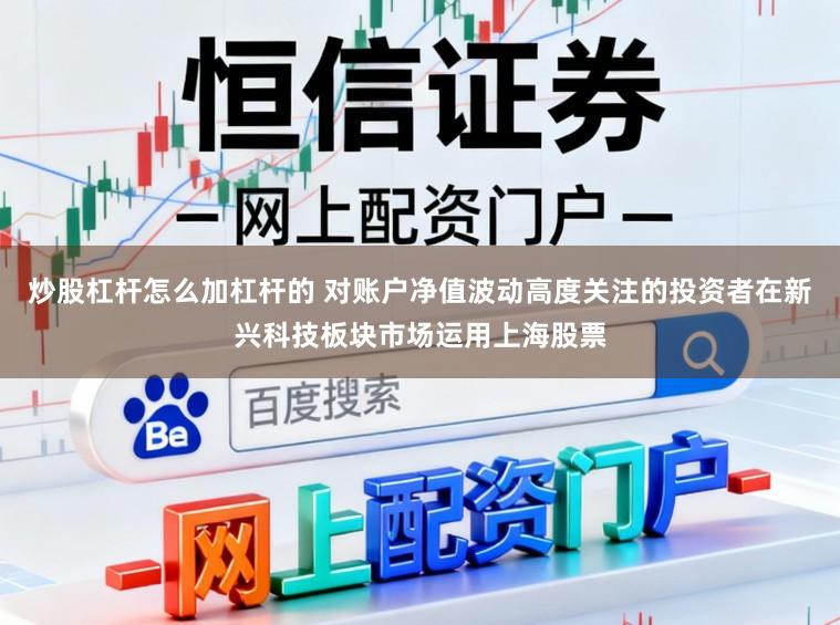 炒股杠杆怎么加杠杆的 对账户净值波动高度关注的投资者在新兴科技板块市场运用上海股票