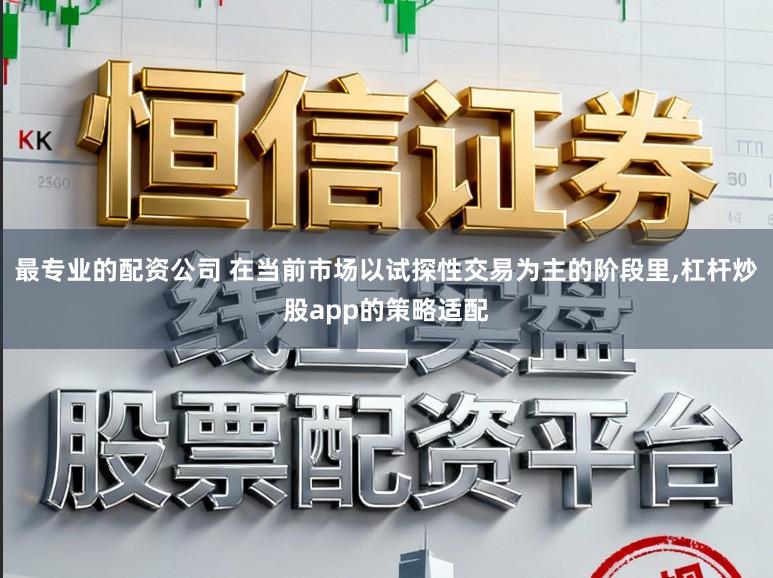 最专业的配资公司 在当前市场以试探性交易为主的阶段里,杠杆炒股app的策略适配