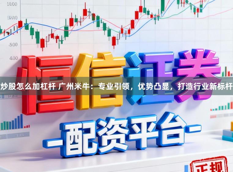 炒股怎么加杠杆 广州米牛：专业引领，优势凸显，打造行业新标杆